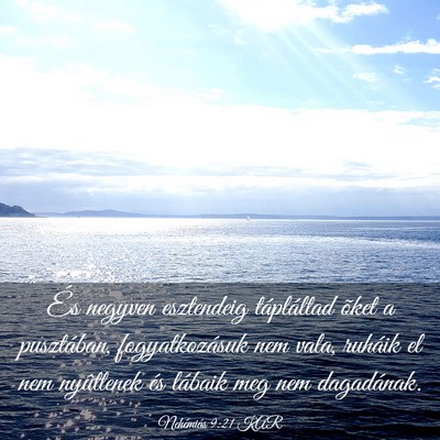 Picture 03 - Nehémiás 9:21 KAR - És negyven esztendeig tápláltad õket a - Bible Verse Picture