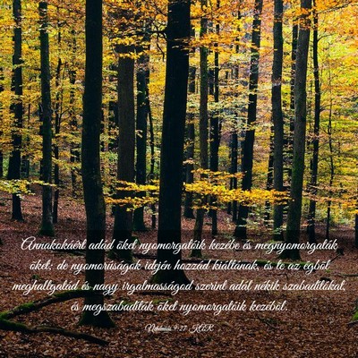 Picture 03 - Nehémiás 9:27 KAR - Annakokáért adád õket nyomorgatóik kezébe - Bible Verse Picture