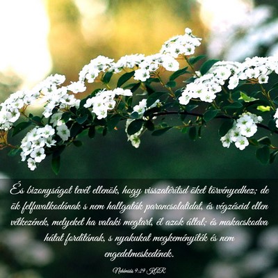 Picture 03 - Nehémiás 9:29 KAR - És bizonyságot tevél ellenök, hogy - Bible Verse Picture