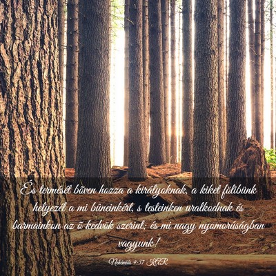 Picture 03 - Nehémiás 9:37 KAR - És termését bõven hozza a királyoknak, a - Bible Verse Picture
