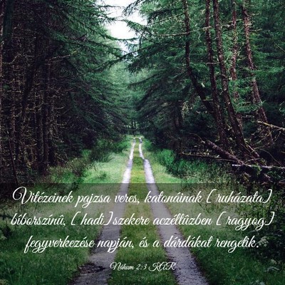 Picture 03 - Náhum 2:3 KAR - Vitézeinek pajzsa veres, katonáinak [ruházata] - Bible Verse Picture