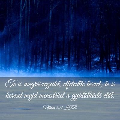 Picture 03 - Náhum 3:11 KAR - Te is megrészegedel, elfeledtté leszel; te is - Bible Verse Picture