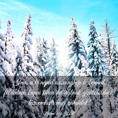 Picture 03 - Náhum 3:13 KAR - Ímé, a te néped asszonynép te benned, - Bible Verse Picture