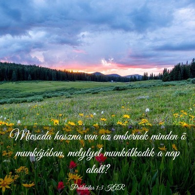 Picture 03 - Prédikátor 1:3 KAR - Micsoda haszna van az embernek minden õ - Bible Verse Picture