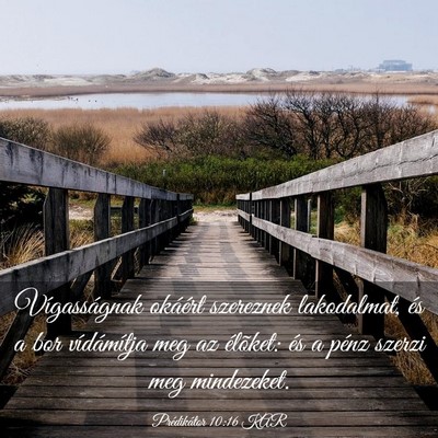 Picture 03 - Prédikátor 10:16 KAR - Vígasságnak okáért szereznek lakodalmat, és - Bible Verse Picture