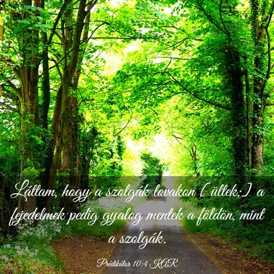Picture 03 - Prédikátor 10:4 KAR - Láttam, hogy a szolgák lovakon [ültek;] a - Bible Verse Picture