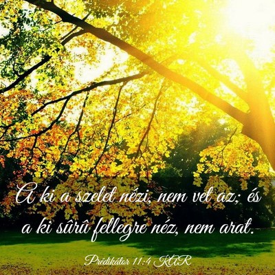 Picture 03 - Prédikátor 11:4 KAR - A ki a szelet nézi, nem vet az; és a ki sûrû - Bible Verse Picture