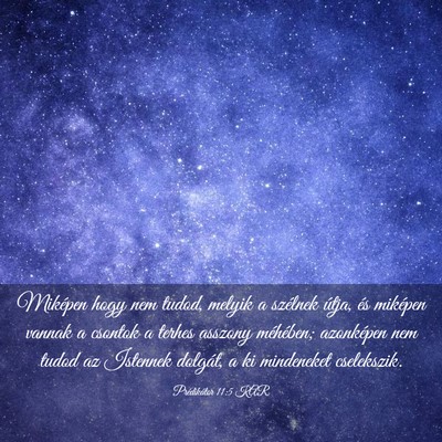 Picture 03 - Prédikátor 11:5 KAR - Miképen hogy nem tudod, melyik a szélnek útja, - Bible Verse Picture