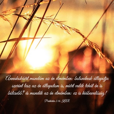 Picture 03 - Prédikátor 2:16 KAR - Annakokáért mondám az én elmémben: bolondnak - Bible Verse Picture