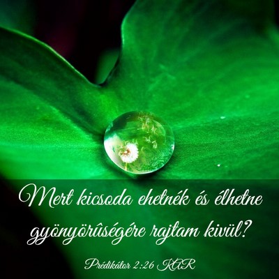 Picture 03 - Prédikátor 2:26 KAR - Mert kicsoda ehetnék és élhetne - Bible Verse Picture