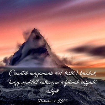 Picture 03 - Prédikátor 2:7 KAR - Csinálék magamnak víz[tartó] tavakat, hogy - Bible Verse Picture