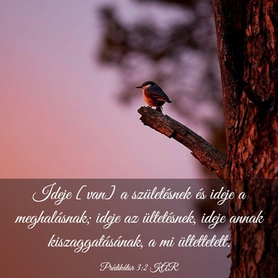Picture 03 - Prédikátor 3:2 KAR - Ideje [van] a születésnek és ideje a - Bible Verse Picture