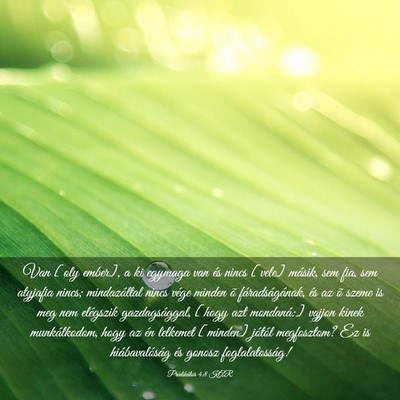 Picture 03 - Prédikátor 4:8 KAR - Van [oly ember], a ki egymaga van és nincs - Bible Verse Picture