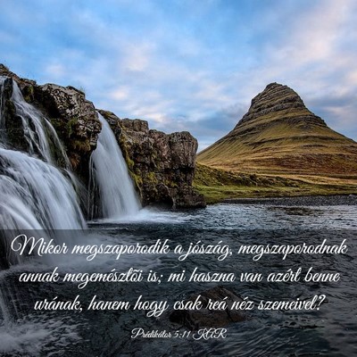 Picture 03 - Prédikátor 5:11 KAR - Mikor megszaporodik a jószág, megszaporodnak - Bible Verse Picture