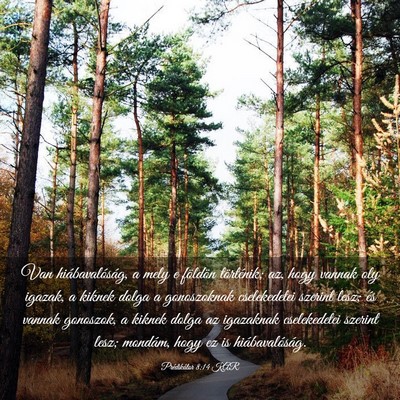 Picture 03 - Prédikátor 8:14 KAR - Van hiábavalóság, a mely e földön - Bible Verse Picture