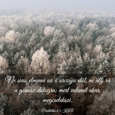 Picture 03 - Prédikátor 8:3 KAR - Ne siess elmenni az õ orczája elõl, ne állj - Bible Verse Picture
