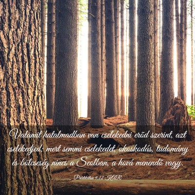 Picture 03 - Prédikátor 9:12 KAR - Valamit hatalmadban van cselekedni erõd szerint, - Bible Verse Picture