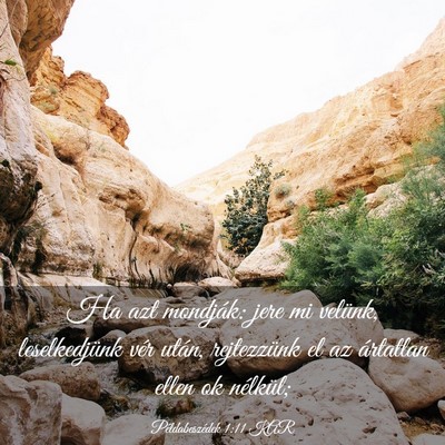 Picture 03 - Példabeszédek 1:11 KAR - Ha azt mondják: jere mi velünk, leselkedjünk - Bible Verse Picture