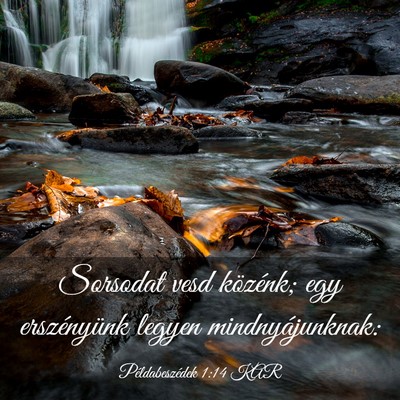 Picture 03 - Példabeszédek 1:14 KAR - Sorsodat vesd közénk; egy erszényünk legyen - Bible Verse Picture