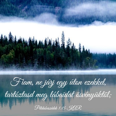 Picture 03 - Példabeszédek 1:15 KAR - Fiam, ne járj egy úton ezekkel, tartóztasd meg - Bible Verse Picture