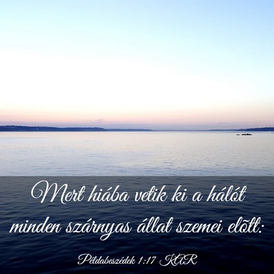 Picture 03 - Példabeszédek 1:17 KAR - Mert hiába vetik ki a hálót minden szárnyas - Bible Verse Picture