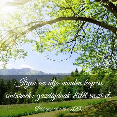 Picture 03 - Példabeszédek 1:19 KAR - Ilyen az útja minden kapzsi embernek: - Bible Verse Picture