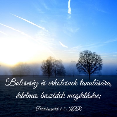 Picture 03 - Példabeszédek 1:2 KAR - Bölcseség és erkölcsnek tanulására, - Bible Verse Picture