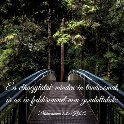 Picture 03 - Példabeszédek 1:25 KAR - És elhagytátok minden én tanácsomat, és az - Bible Verse Picture