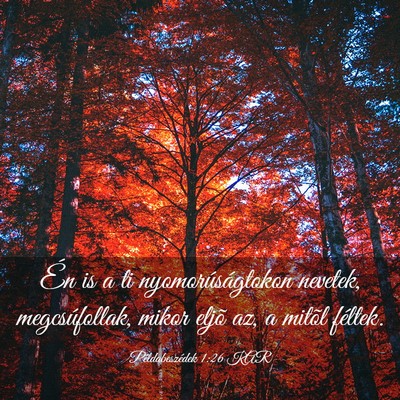 Picture 03 - Példabeszédek 1:26 KAR - Én is a ti nyomorúságtokon nevetek, - Bible Verse Picture