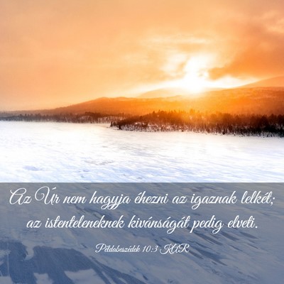 Picture 03 - Példabeszédek 10:3 KAR - Az Úr nem hagyja éhezni az igaznak lelkét; az - Bible Verse Picture