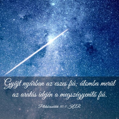 Picture 03 - Példabeszédek 10:5 KAR - Gyûjt nyárban az eszes fiú; álomba merül az - Bible Verse Picture
