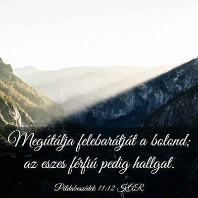Picture 03 - Példabeszédek 11:12 KAR - Megútálja felebarátját a bolond; az eszes - Bible Verse Picture
