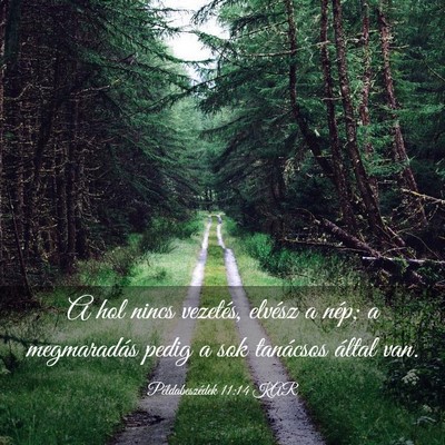 Picture 03 - Példabeszédek 11:14 KAR - A hol nincs vezetés, elvész a nép; a - Bible Verse Picture