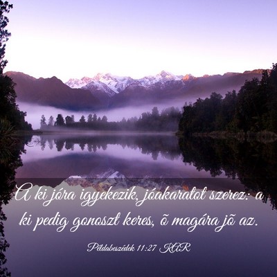 Picture 03 - Példabeszédek 11:27 KAR - A ki jóra igyekezik, jóakaratot szerez: a ki - Bible Verse Picture