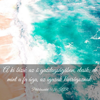 Picture 03 - Példabeszédek 11:28 KAR - A ki bízik az õ gazdagságában, elesik; de - Bible Verse Picture