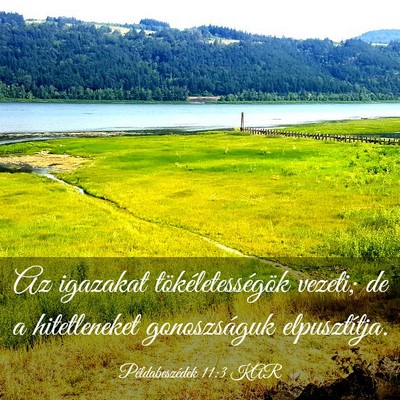 Picture 03 - Példabeszédek 11:3 KAR - Az igazakat tökéletességök vezeti; de a - Bible Verse Picture