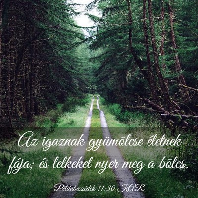 Picture 03 - Példabeszédek 11:30 KAR - Az igaznak gyümölcse életnek fája; és - Bible Verse Picture