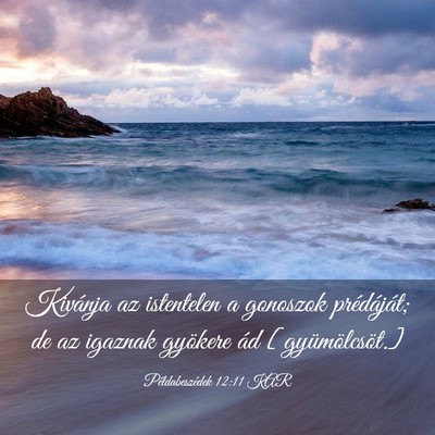 Picture 03 - Példabeszédek 12:11 KAR - Kivánja az istentelen a gonoszok prédáját; de - Bible Verse Picture