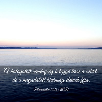 Picture 03 - Példabeszédek 13:12 KAR - A halogatott reménység beteggé teszi a - Bible Verse Picture