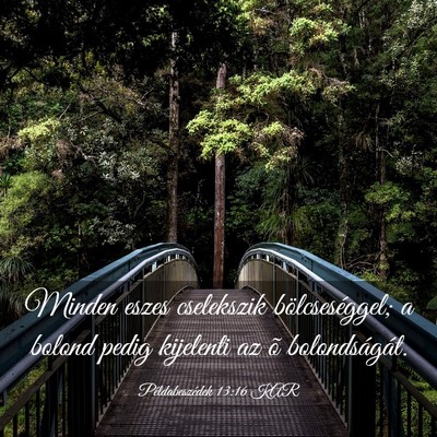 Picture 03 - Példabeszédek 13:16 KAR - Minden eszes cselekszik bölcseséggel; a bolond - Bible Verse Picture