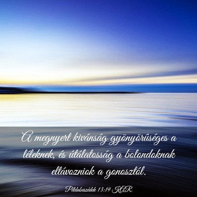 Picture 03 - Példabeszédek 13:19 KAR - A megnyert kivánság gyönyörûséges a - Bible Verse Picture
