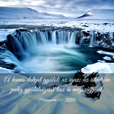 Picture 03 - Példabeszédek 13:5 KAR - A hamis dolgot gyûlöli az igaz; az istentelen - Bible Verse Picture