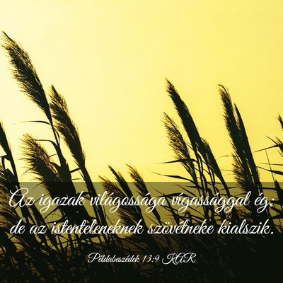 Picture 03 - Példabeszédek 13:9 KAR - Az igazak világossága vígassággal ég; de az - Bible Verse Picture