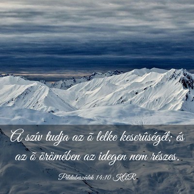 Picture 03 - Példabeszédek 14:10 KAR - A szív tudja az õ lelke keserûségét; és az - Bible Verse Picture