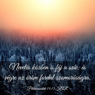 Picture 03 - Példabeszédek 14:13 KAR - Nevetés közben is fáj a szív; és végre az - Bible Verse Picture