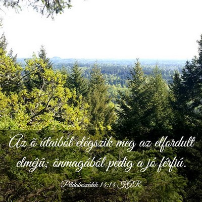 Picture 03 - Példabeszédek 14:14 KAR - Az õ útaiból elégszik meg az elfordult - Bible Verse Picture