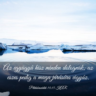 Picture 03 - Példabeszédek 14:15 KAR - Az együgyû hisz minden dolognak; az eszes pedig - Bible Verse Picture