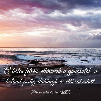 Picture 03 - Példabeszédek 14:16 KAR - A bölcs félvén, eltávozik a gonosztól; a - Bible Verse Picture