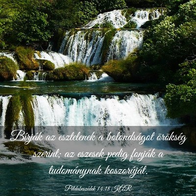 Picture 03 - Példabeszédek 14:18 KAR - Bírják az esztelenek a bolondságot örökség - Bible Verse Picture