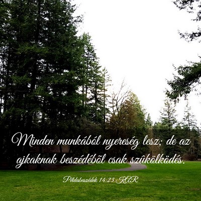 Picture 03 - Példabeszédek 14:23 KAR - Minden munkából nyereség lesz; de az ajkaknak - Bible Verse Picture